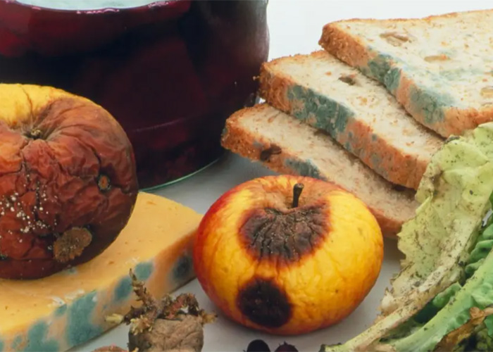 上海過期食品銷毀制度