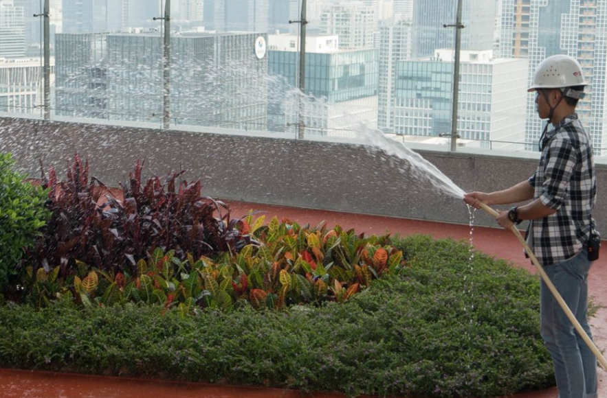 如何應對氣候變化、保護海洋、土地及水源