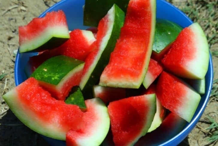 西瓜皮不僅能堆肥還能這么用！