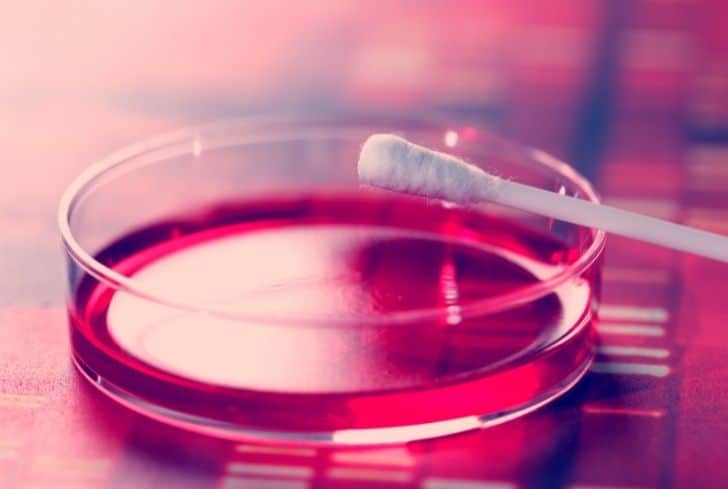 Q-Tips 是否可回收？