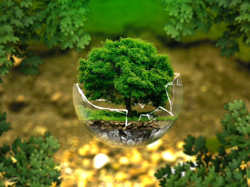 臨期的奶粉可以喝嗎？|過期奶粉銷毀